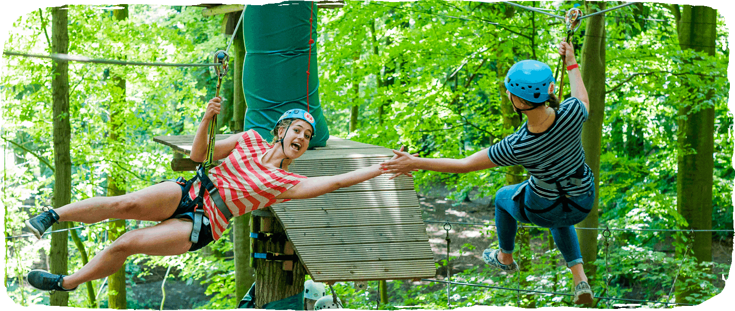 high five, zipline, fun forest