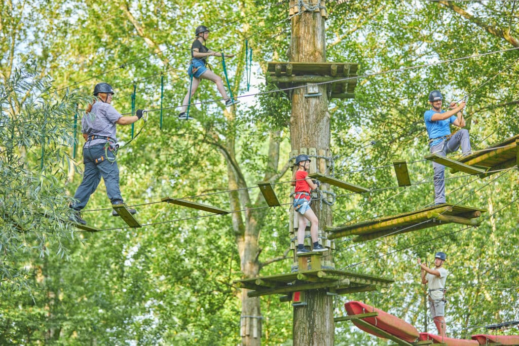 Vijf verschillende klimmers klimmen op verschillende onderdelen richting dezelfde centrale boom.