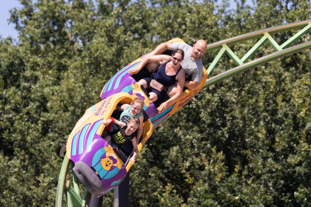 Achtbaan bij BillyBird Hemelrijk