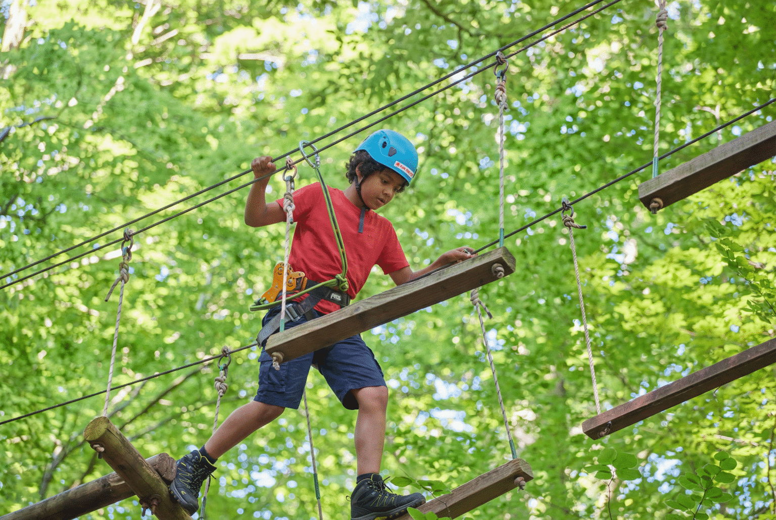 Klinbos Klimbos Amsterdam | Fun Forest | Kom klimmen in het Amsterdamse Bos!